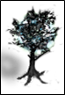schwarzbaum2