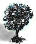 schwarzbaum4