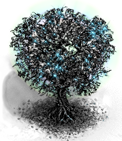 schwarzbaum7