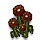 rosenbeet