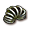 Sprungfeder